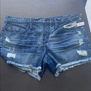 NWT Black Orchid Jeans Shorts Size 26